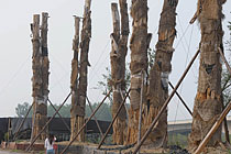 ���պϷ�98����r�Ř伯�w����