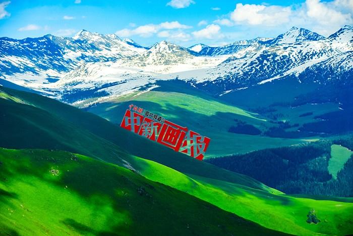 將夏天的“綠” 裝進(jìn)屏幕里，一組護(hù)眼壁紙請查收！