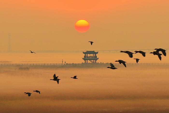 薄霧輕籠鄱陽湖 再現(xiàn)“秋水共長天一色”詩意