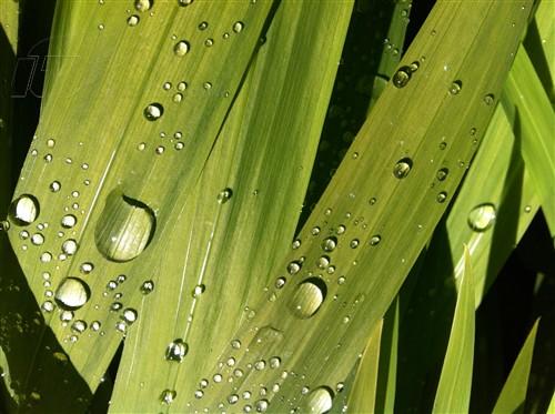 �O���O�� iPhone 4(32G) �ӏ��D