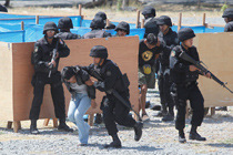 ���壺�����e�_չ���|�������